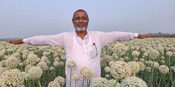 সম্রাট, মহারাজ, রেশমা সুপারসহ ছয় জাতের পেঁয়াজ বীজ এনেছেন এই কৃষক